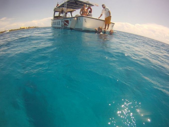  Diving in the Caribbean 
